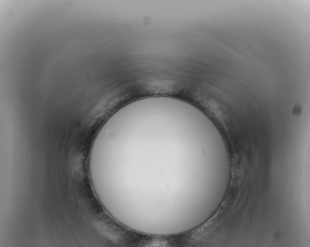 X0000090770162200707271535