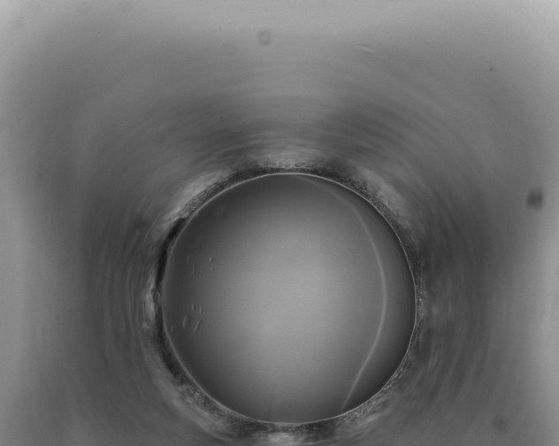X0000090770163200707271535