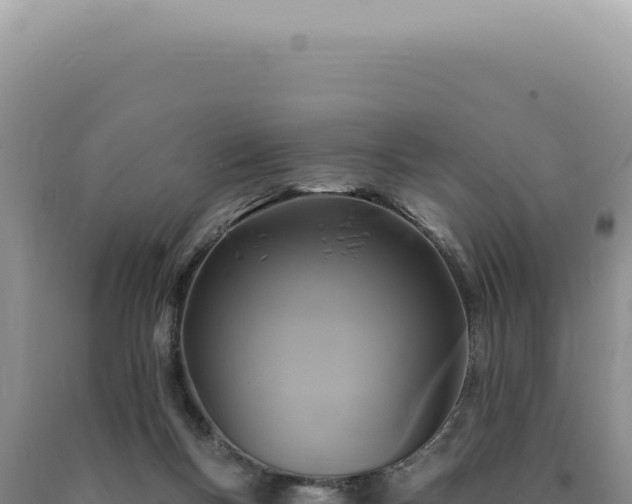 X0000090770167200707271535