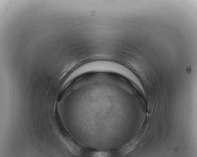 X0000090770168200707271535