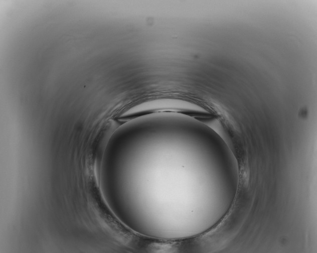 X0000090770170200707271535