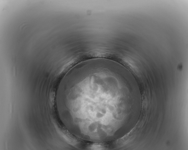 X0000090770171200707271535