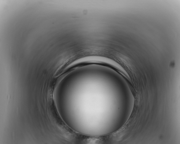 X0000090770172200707271535