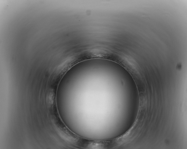 X0000090770174200707271535