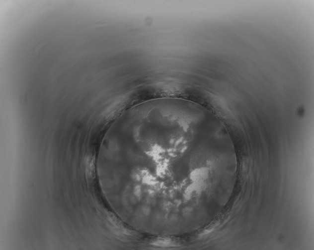 X0000090770177200707271535