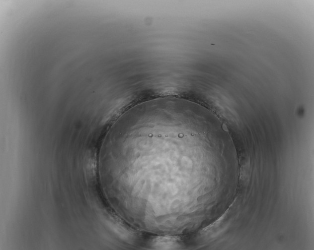 X0000090770179200707271535