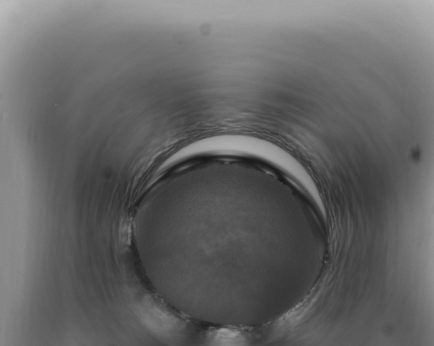 X0000090770180200707271535