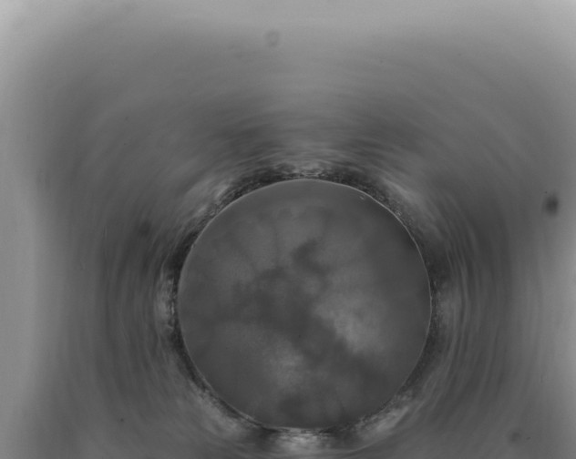 X0000090770181200707271535