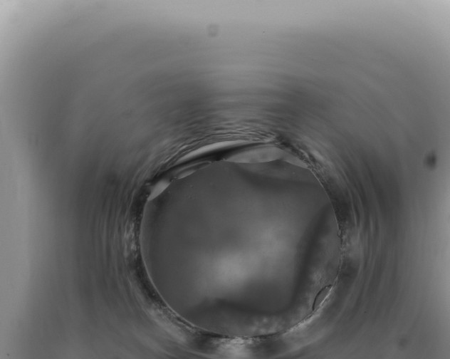 X0000090770182200707271535