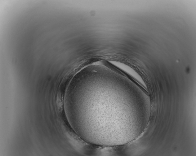 X0000090770186200707271535