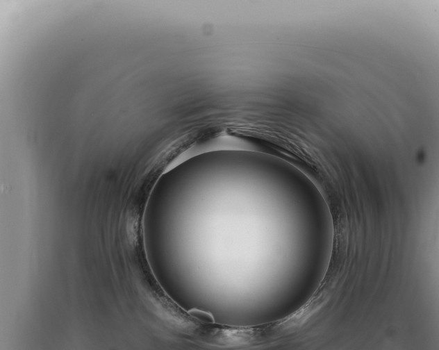 X0000090770188200707271535