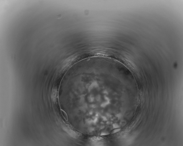 X0000090770189200707271535