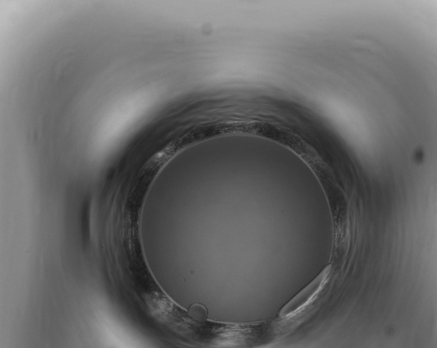 X0000090770191200707271535