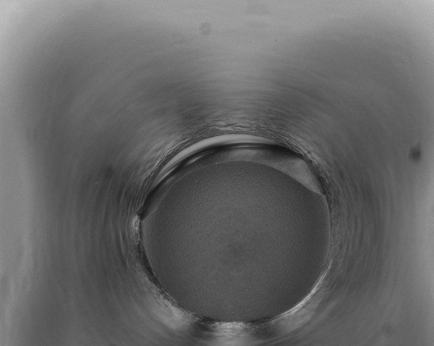 X0000090770192200707271535