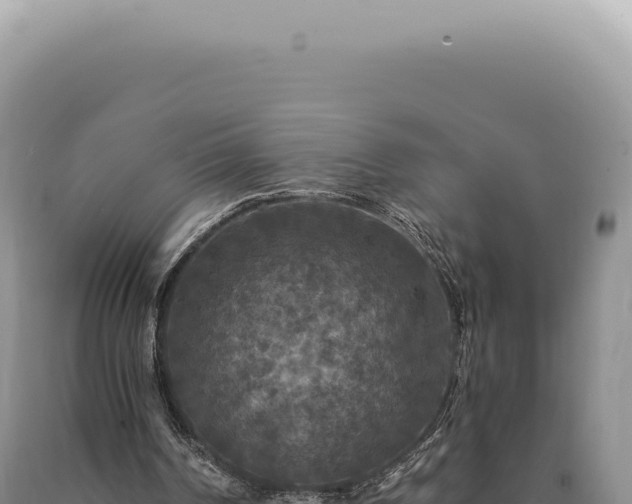 X0000090770194200707271535
