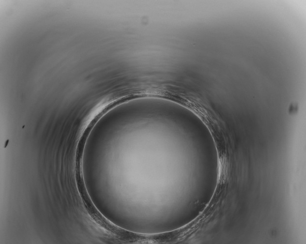 X0000090770195200707271535