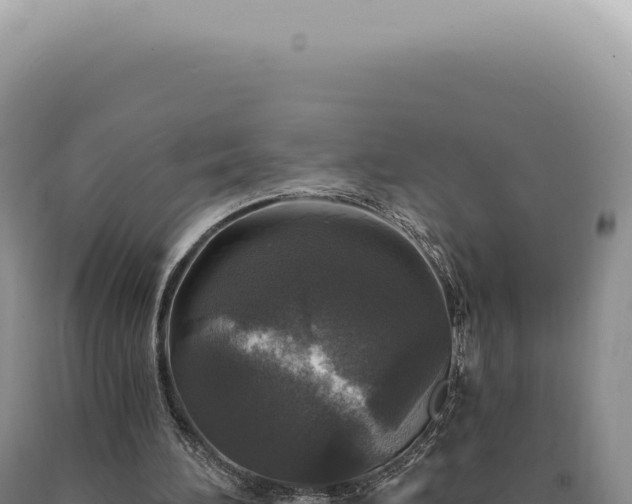 X0000090770196200707271535