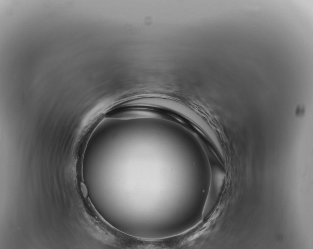 X0000090770197200707271535