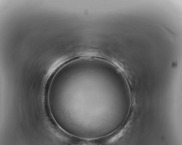 X0000090770199200707271535