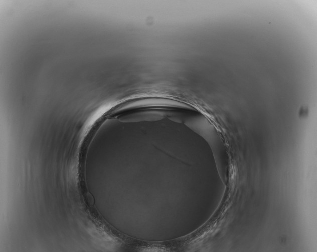 X0000090770200200707271535