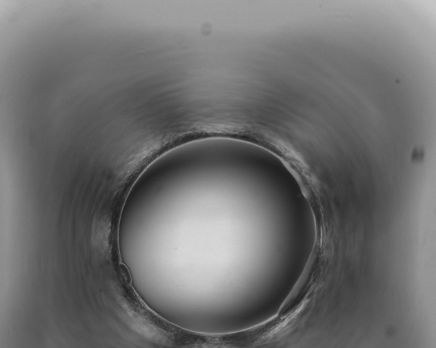 X0000090770201200707271534