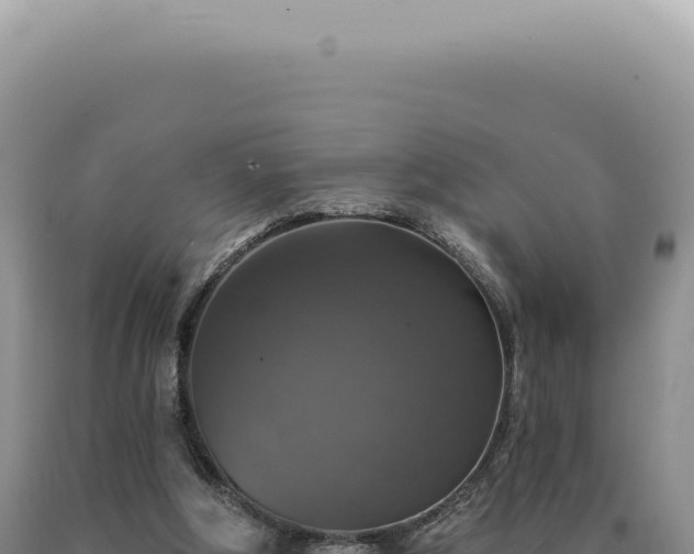 X0000090770202200707271534