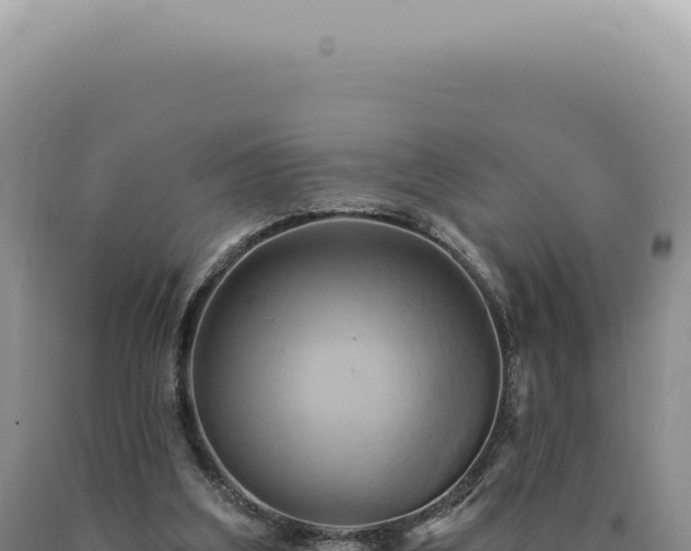 X0000090770203200707271534