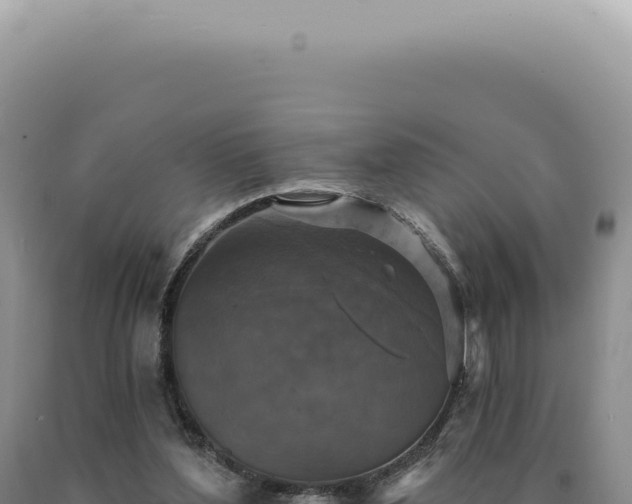X0000090770204200707271534
