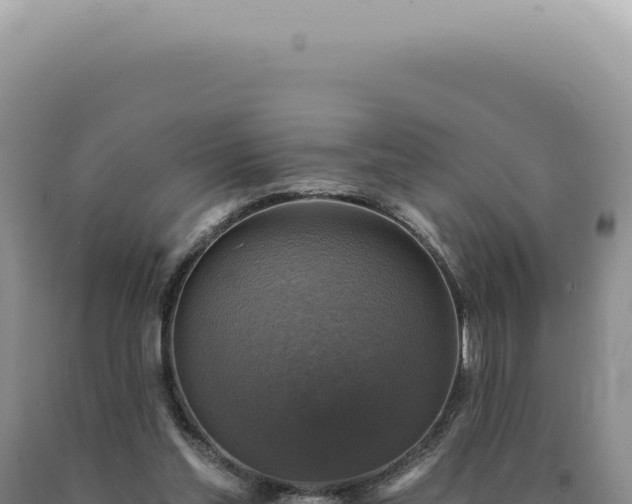 X0000090770205200707271534
