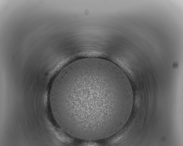 X0000090770206200707271534