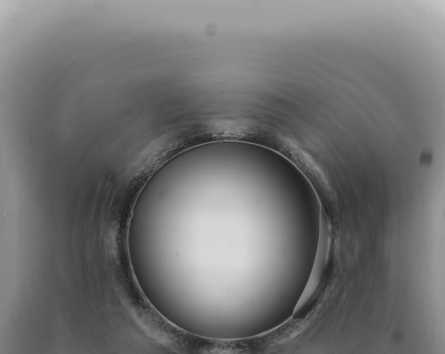X0000090770209200707271534