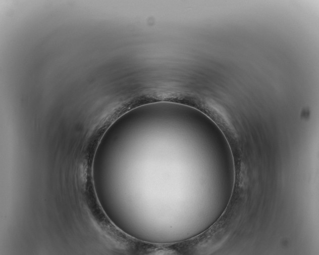 X0000090770210200707271534