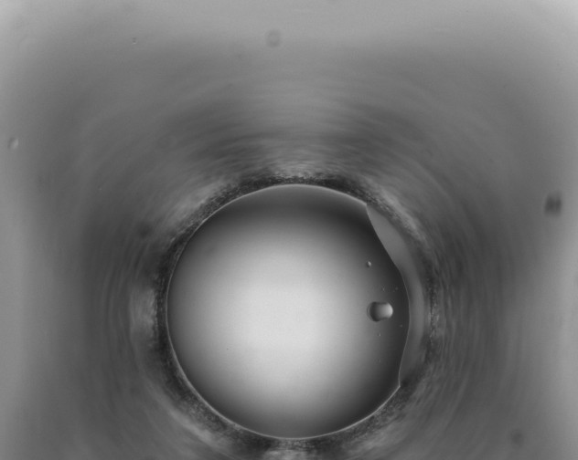 X0000090770211200707271534