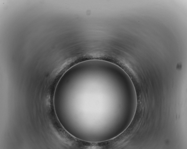 X0000090770212200707271534