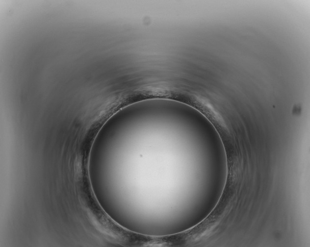 X0000090770213200707271534