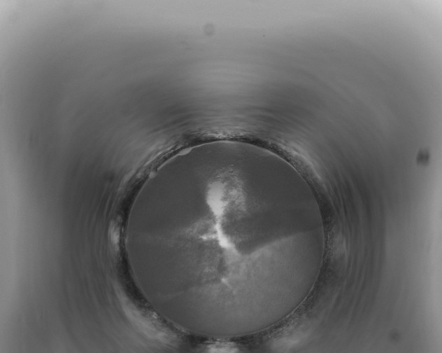 X0000090770214200707271534