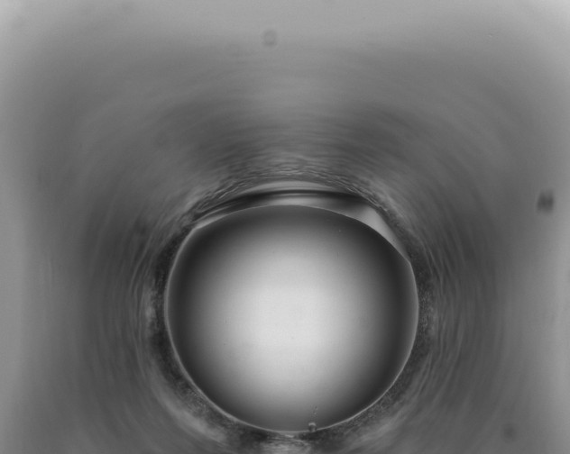 X0000090770215200707271534