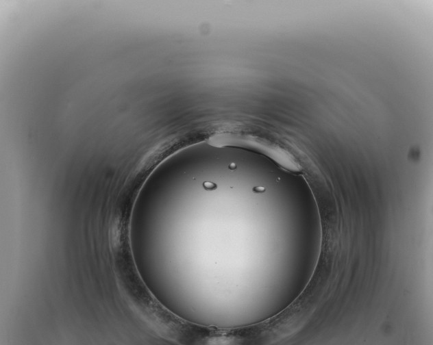 X0000090770216200707271534