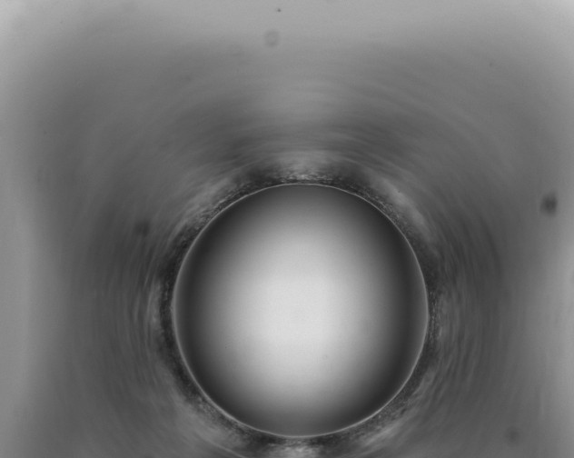 X0000090770217200707271534