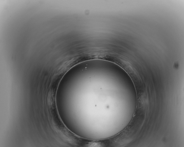 X0000090770218200707271534