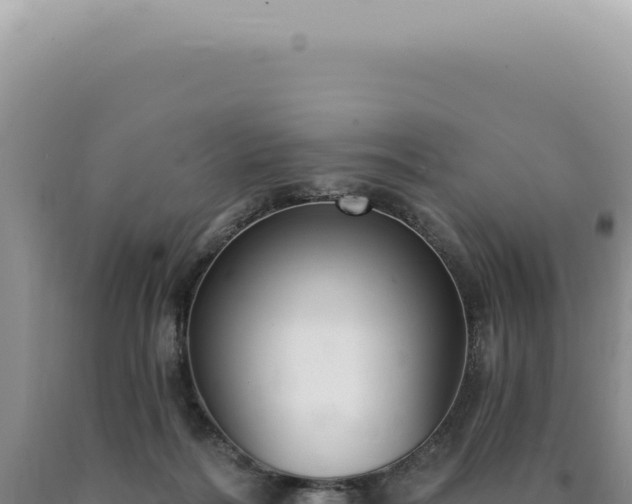 X0000090770220200707271534