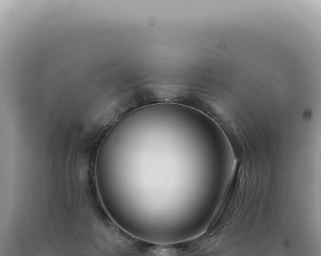 X0000090770221200707271534