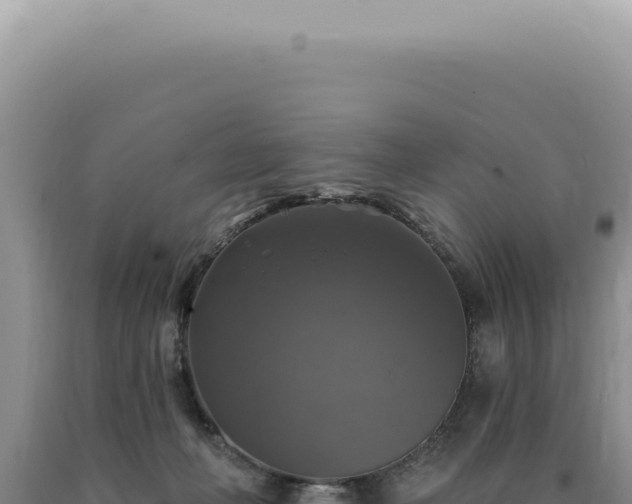 X0000090770222200707271534