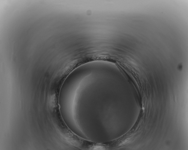 X0000090770224200707271534
