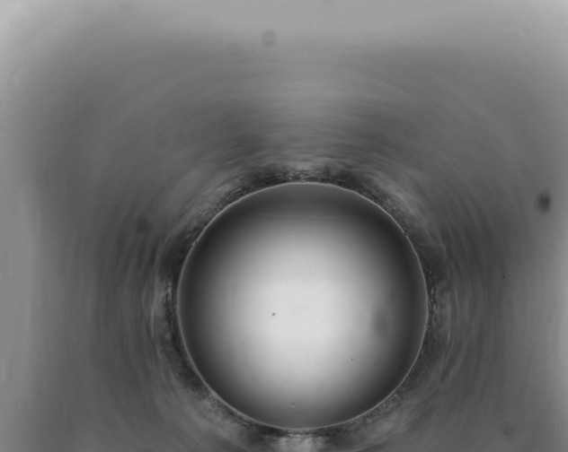 X0000090770225200707271534