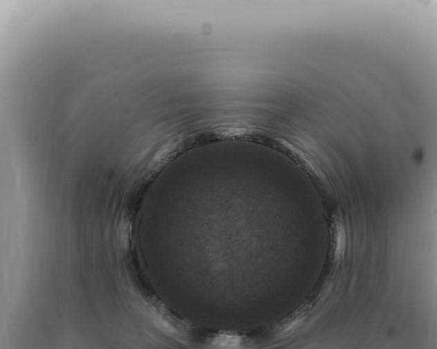 X0000090770227200707271534