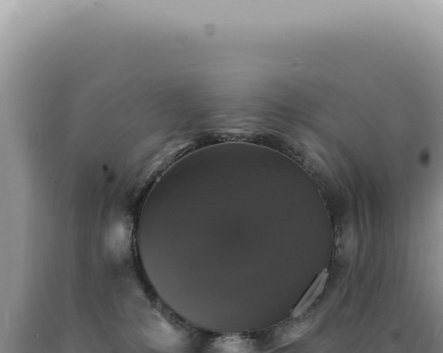 X0000090770231200707271534