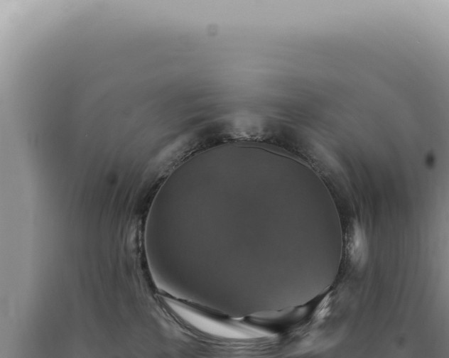X0000090770233200707271534