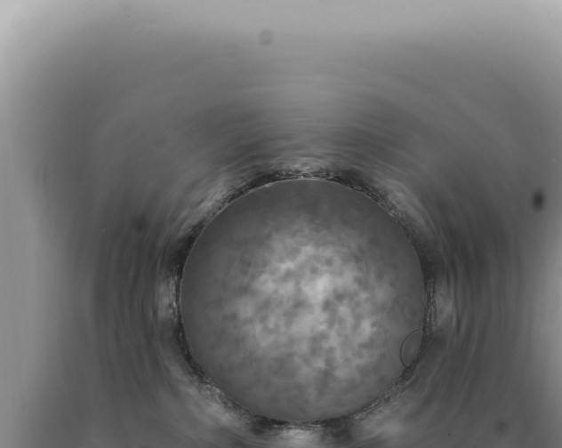 X0000090770236200707271534