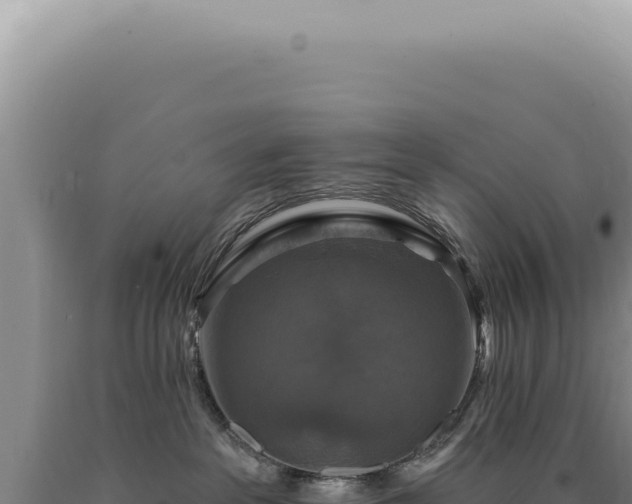 X0000090770237200707271534